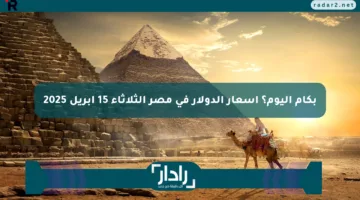 بكام اليوم؟ أسعار الدولار في مصر الثلاثاء 15 أبريل 2025